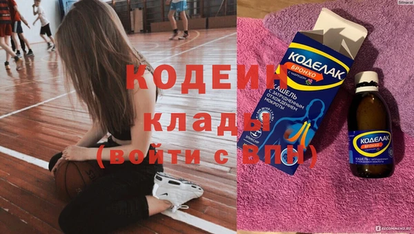 прущие грибы Нея