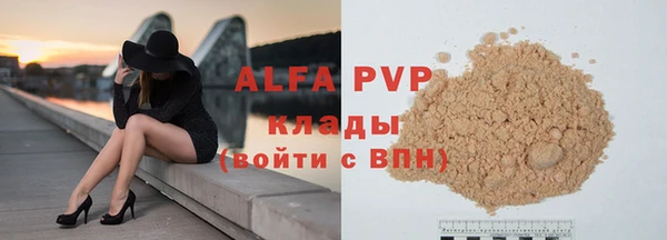 прущие грибы Нея