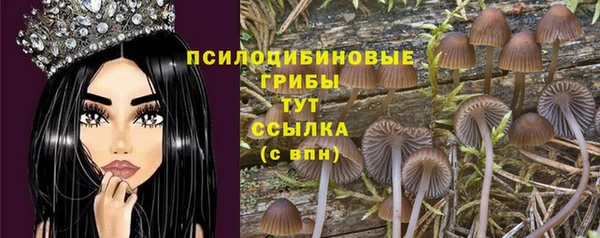 прущая мука Нефтегорск