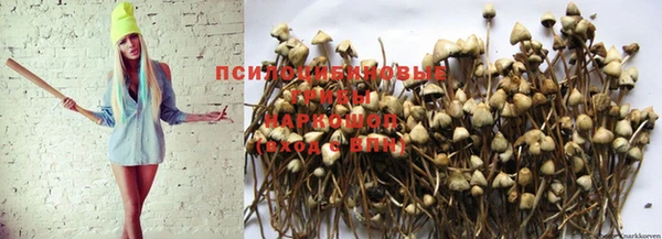 прущие грибы Нея